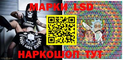стаф Берёзовский