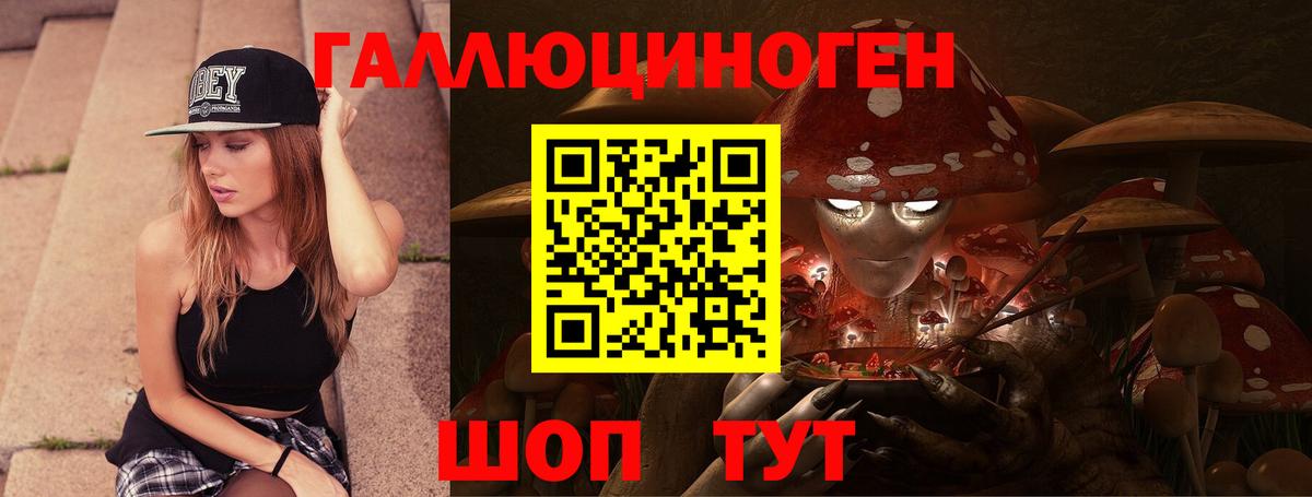 Белебей  Галлюциногенные грибы Cubensis  Вход с VPN 